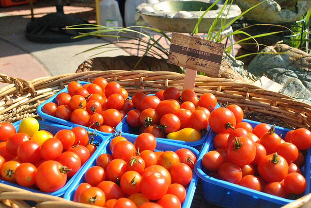 Origines tomatina