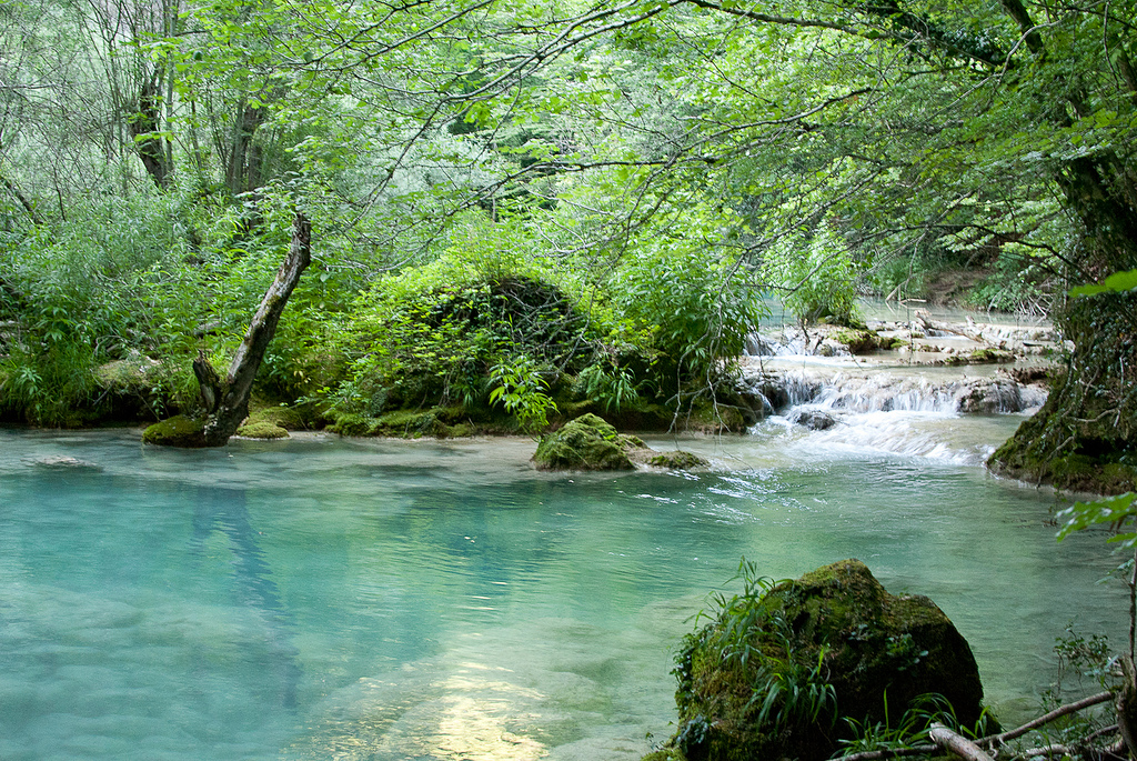 piscine naturelle