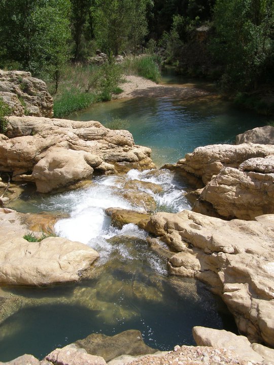 piscine naturelle