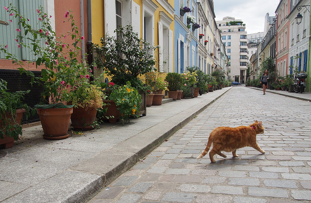 Rue Crémieux