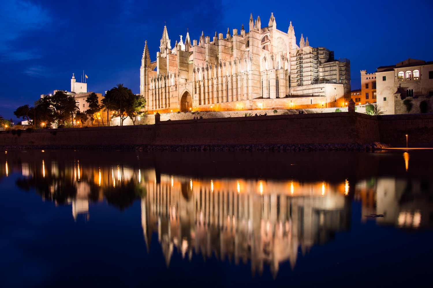 cathedrale palma