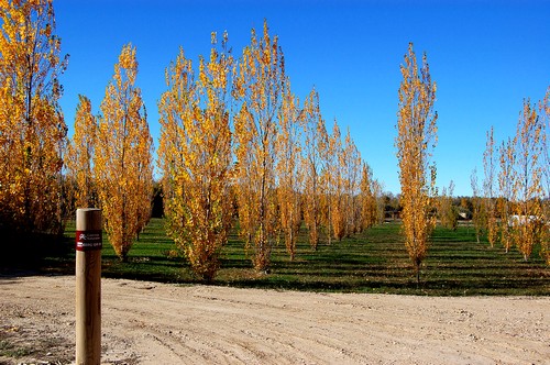 Chemin naturel de l'Ebre