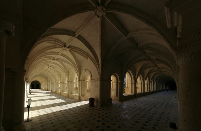 abbaye fontevraud