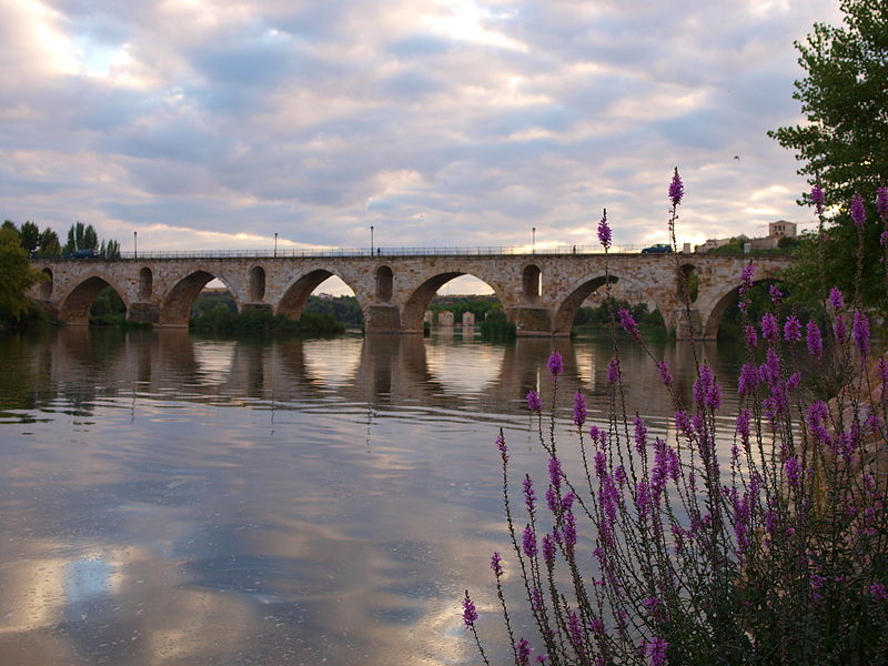 Puente de piedra