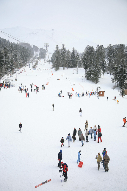 auvergne