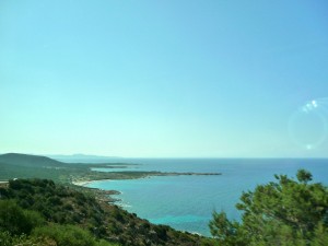 Vue de de la Foret Domaniale de Funtanaccia, Corse