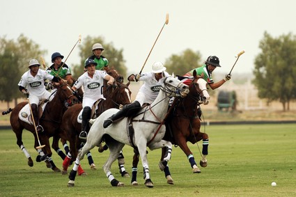 polo cheval