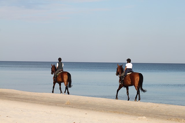 promenade cheval