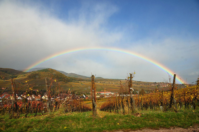 route vins-Alsace