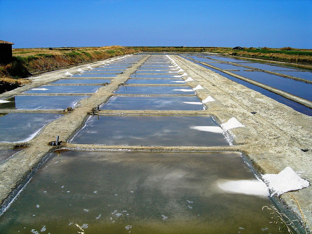 marais salants