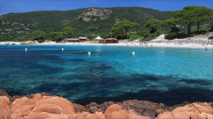 corse palombaggia