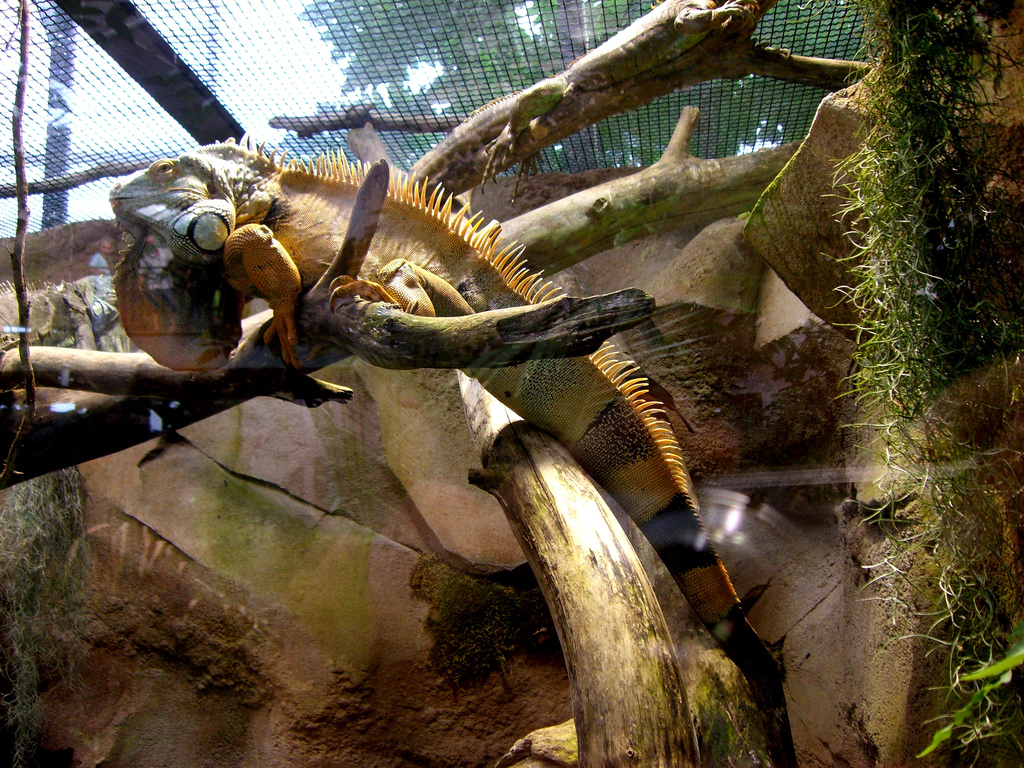 Parc zoologique Montpellier 