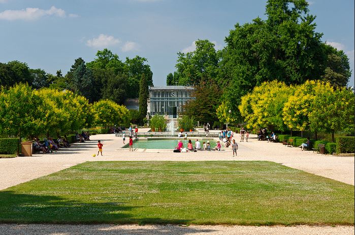 allée principale du jardin des plantes - frédéric bisson