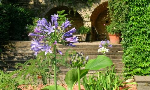 jardin paradis