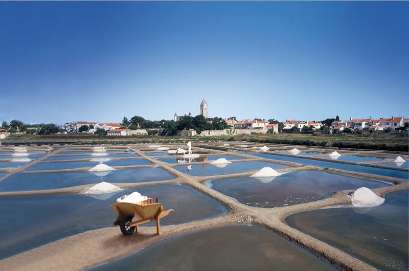 marais salants