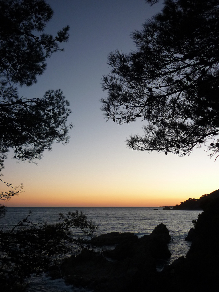 plage de Fenals