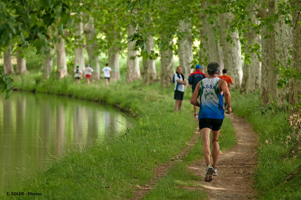 cf - Eric SOLER - le canal du midi