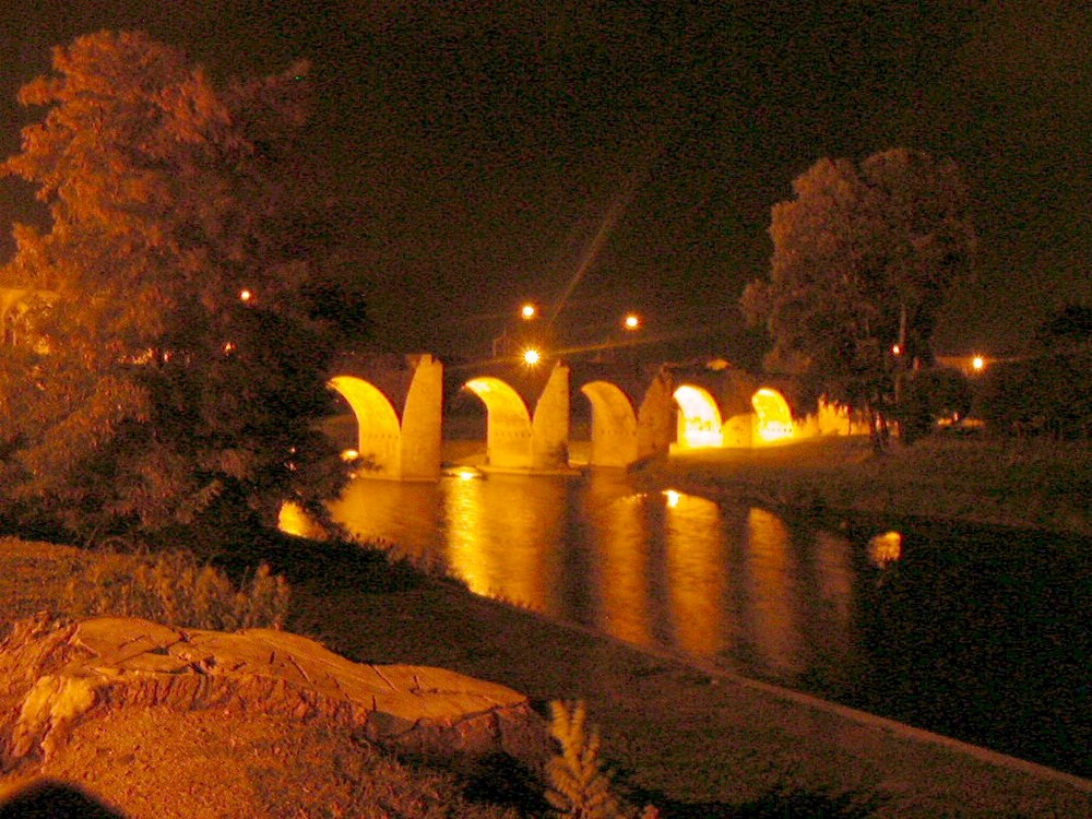 Carcassonne illuminé par les lampadaires 