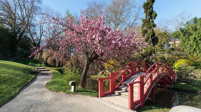 le jardin japonais - Pierre selim