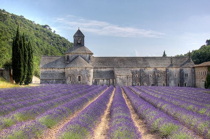 lubéron - abbaye de sénanque - décar66