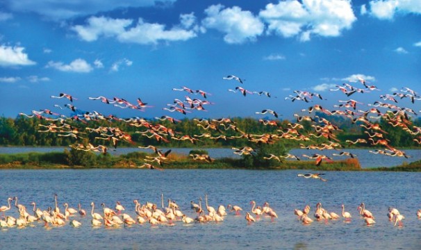 parc du delta de po