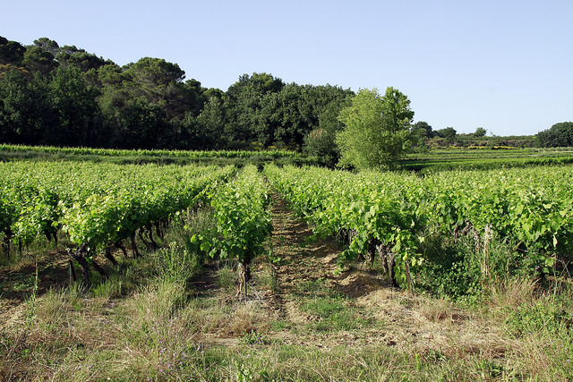 routes touristiques Languedoc-Roussillon