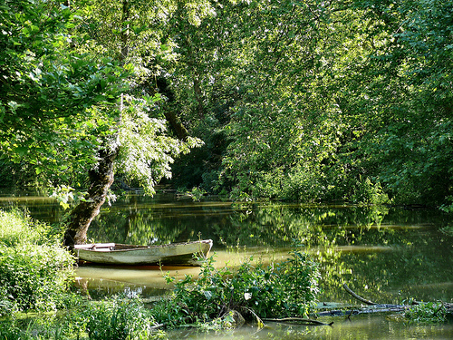 Que faire Charente-Maritime