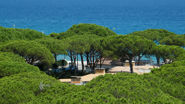 Séjour amis Blanes