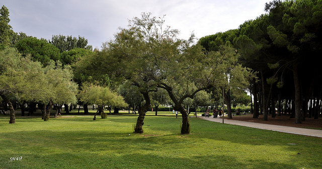 Le parc de la Grande motte