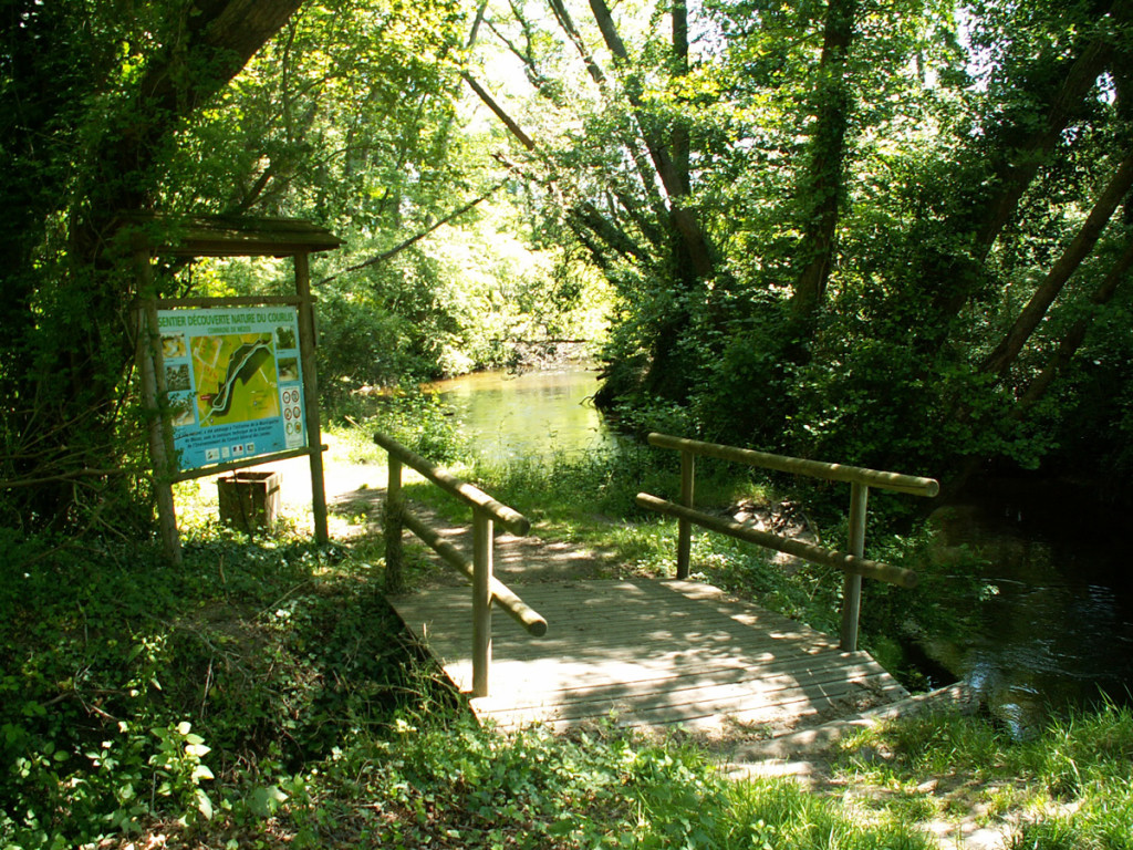 Le ruisseau du Courlis - Mézos - Crédit Photo @ Mimizan Tourisme OT