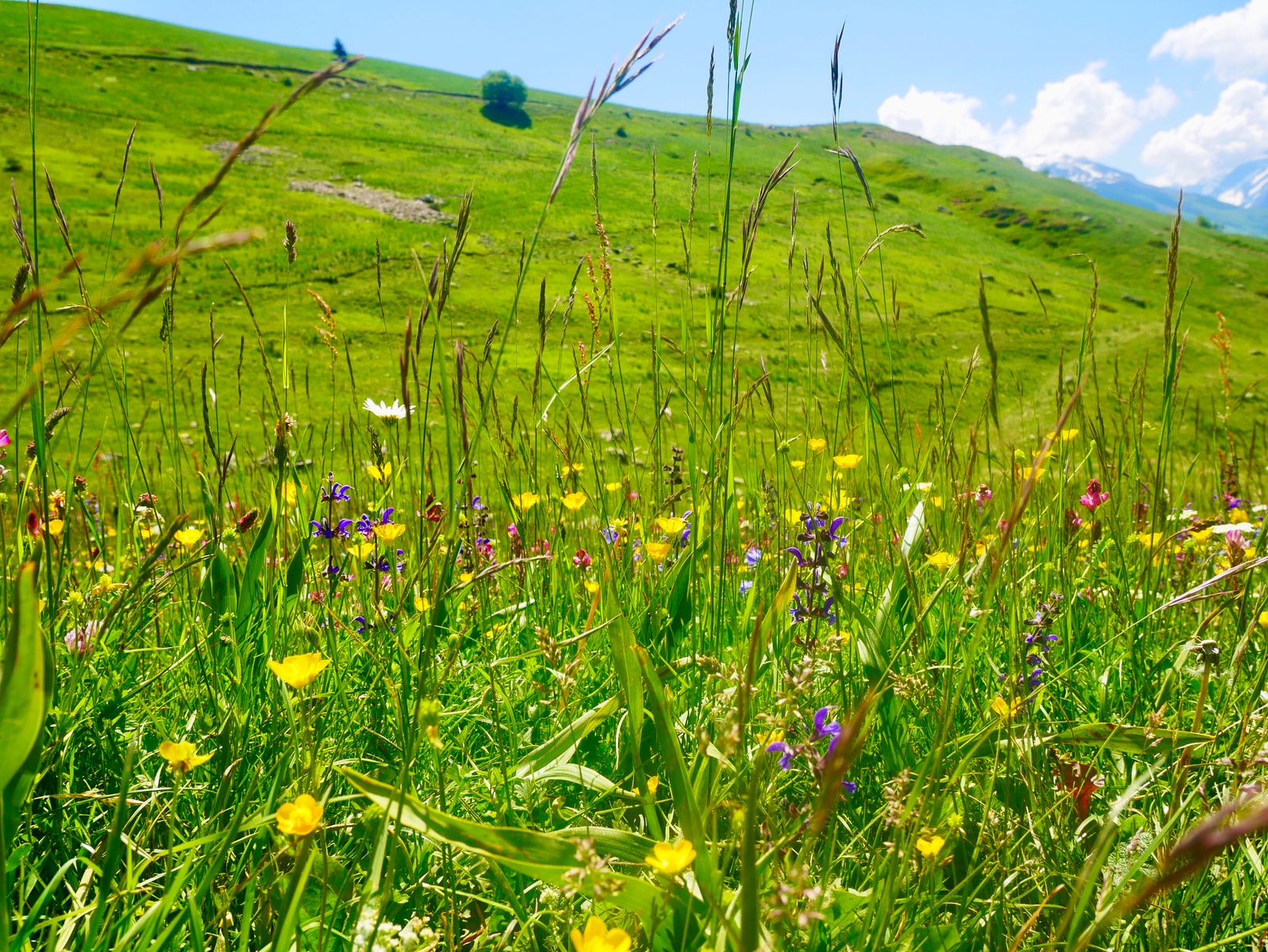 Vacances montagne Alpe d'huez Plare