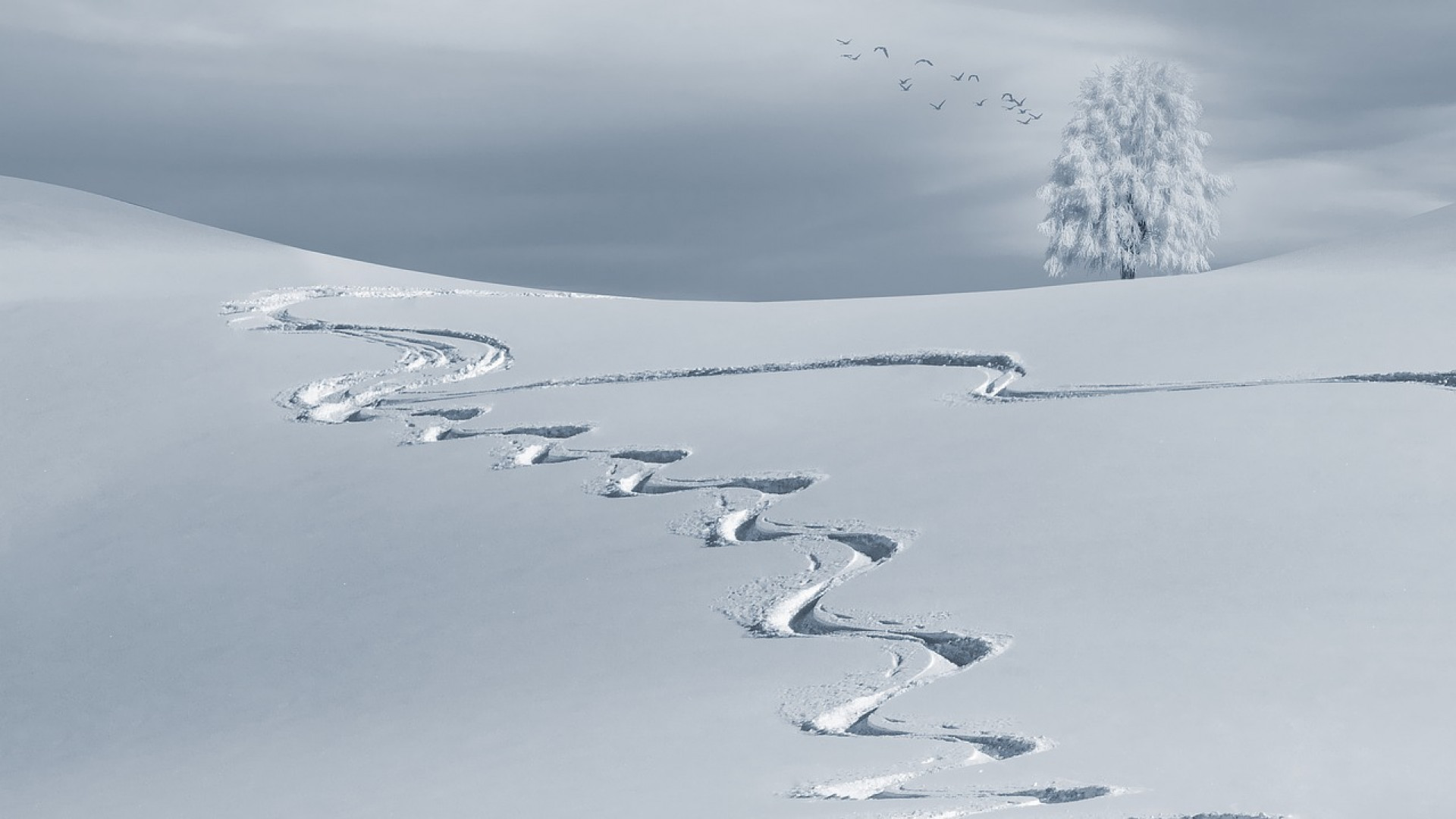 Passez des vacances d'hiver dans un lieu vraiment magique Plare