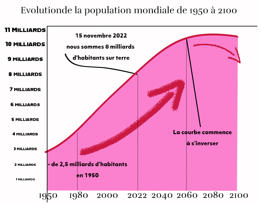 evolution population mondiale de 1950 à 2100 Plare 8 milliards habitants