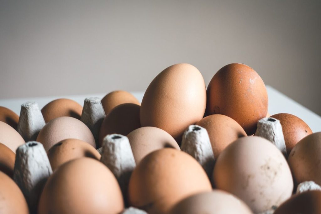 Oeufs Manger sainement 10 ingrédients indispensables pour une alimentation saine