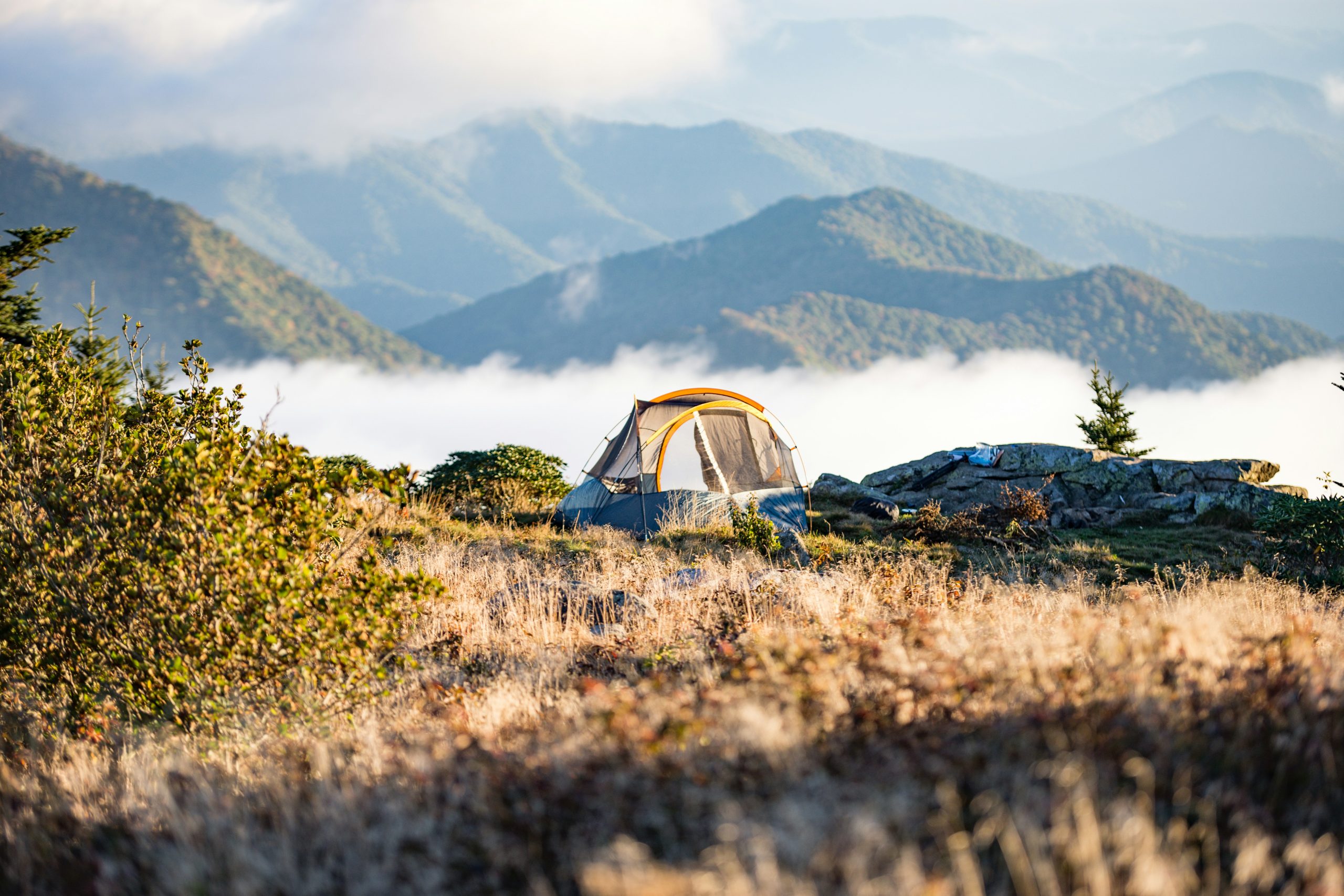 découvrez une multitude d'activités de camping pour une expérience inoubliable en pleine nature.