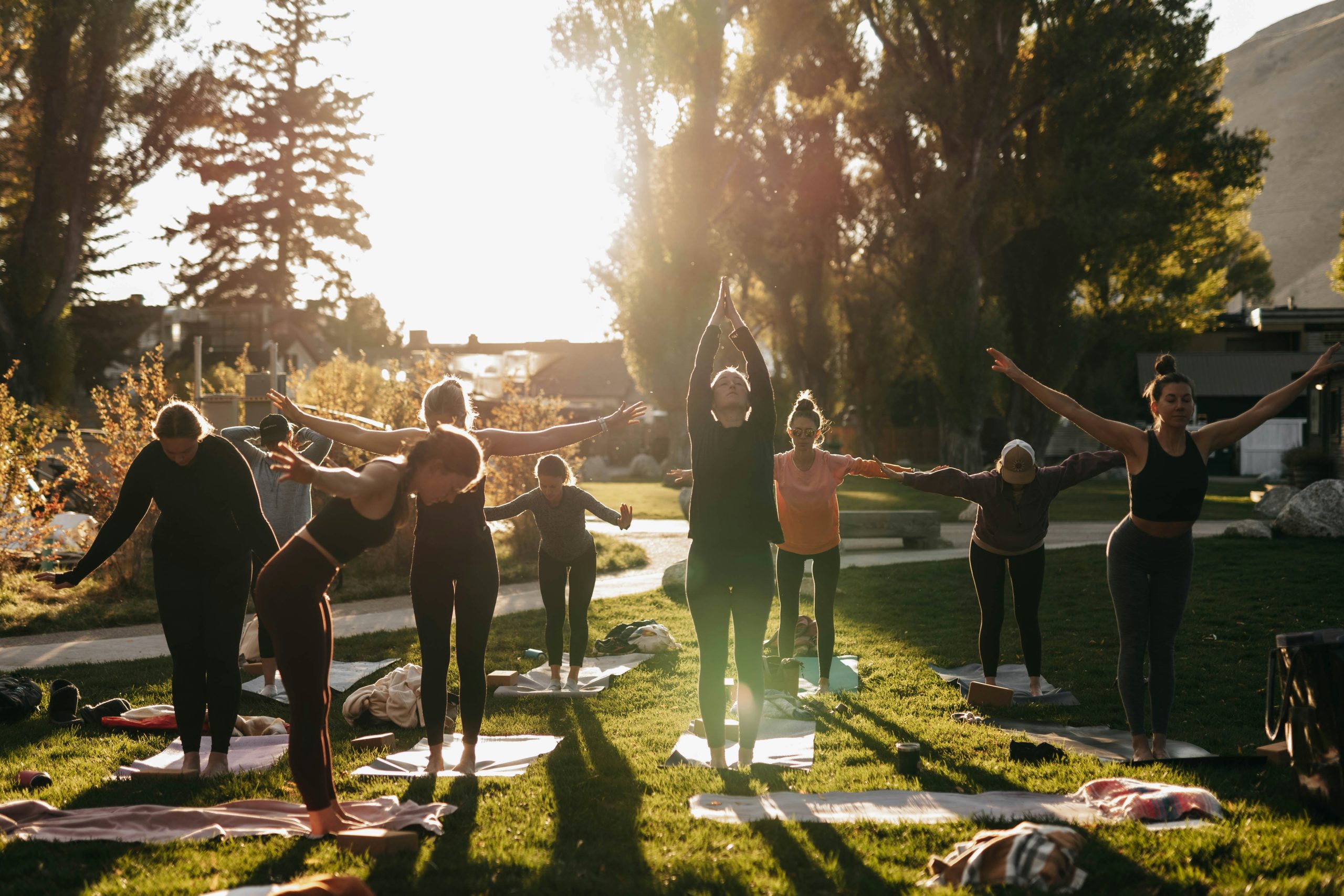 découvrez des retraites bien-être pour une évasion totale et un équilibre retrouvé. profitez d'expériences relaxantes et revitalisantes lors de nos séjours axés sur la santé et le bien-être.