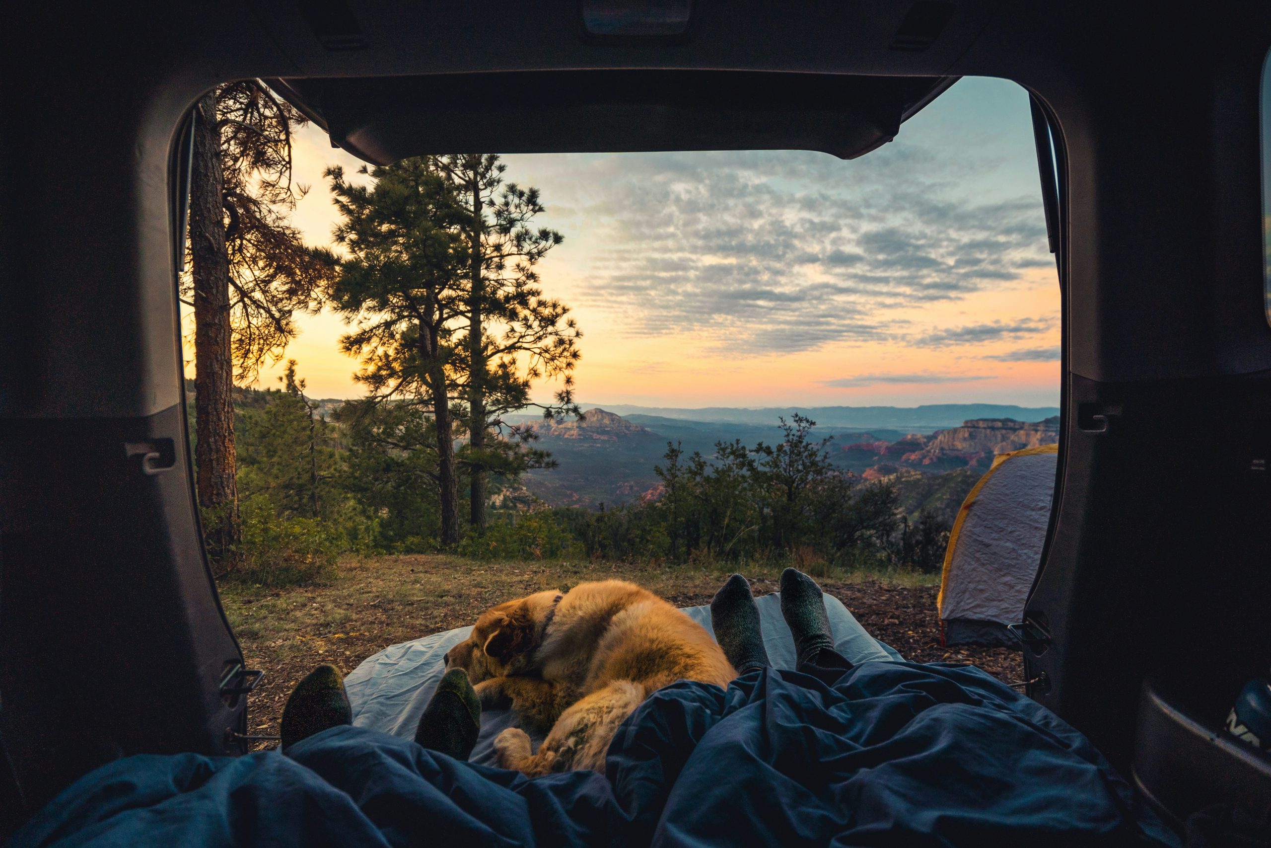 découvrez notre sélection de campings pour des vacances en pleine nature. réservez dès maintenant et profitez de la tranquillité et du grand air.