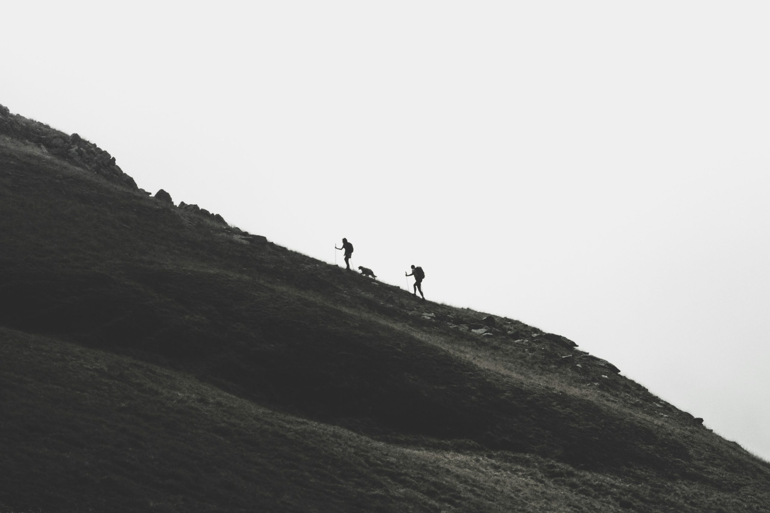 découvrez les meilleurs sentiers de randonnée pour une aventure en plein air passionnante avec des paysages spectaculaires lors de votre prochaine excursion de randonnée.