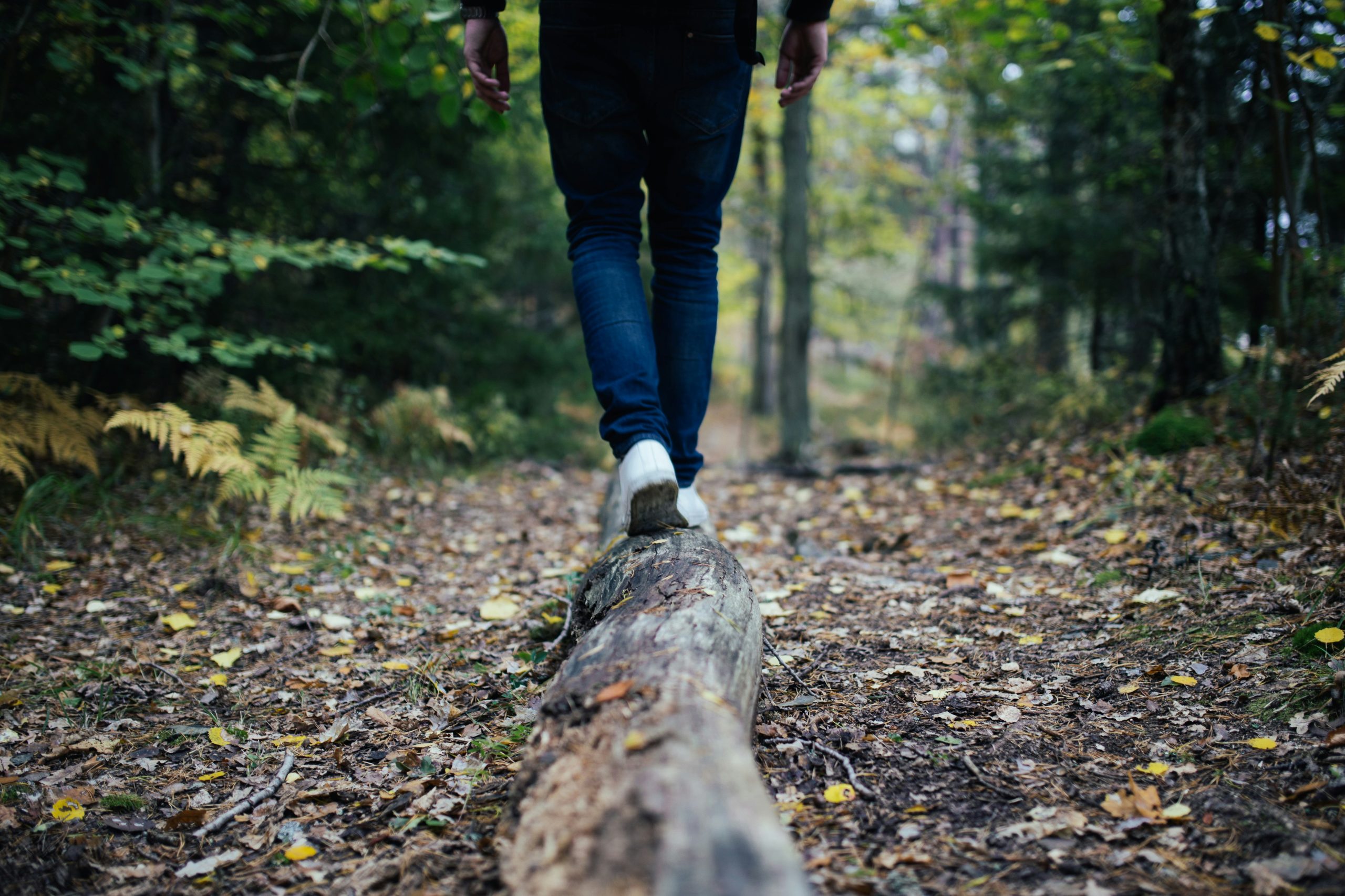 découvrez les plus beaux sentiers de randonnée et partez à l'aventure en pleine nature avec nos conseils et guides de hiking.