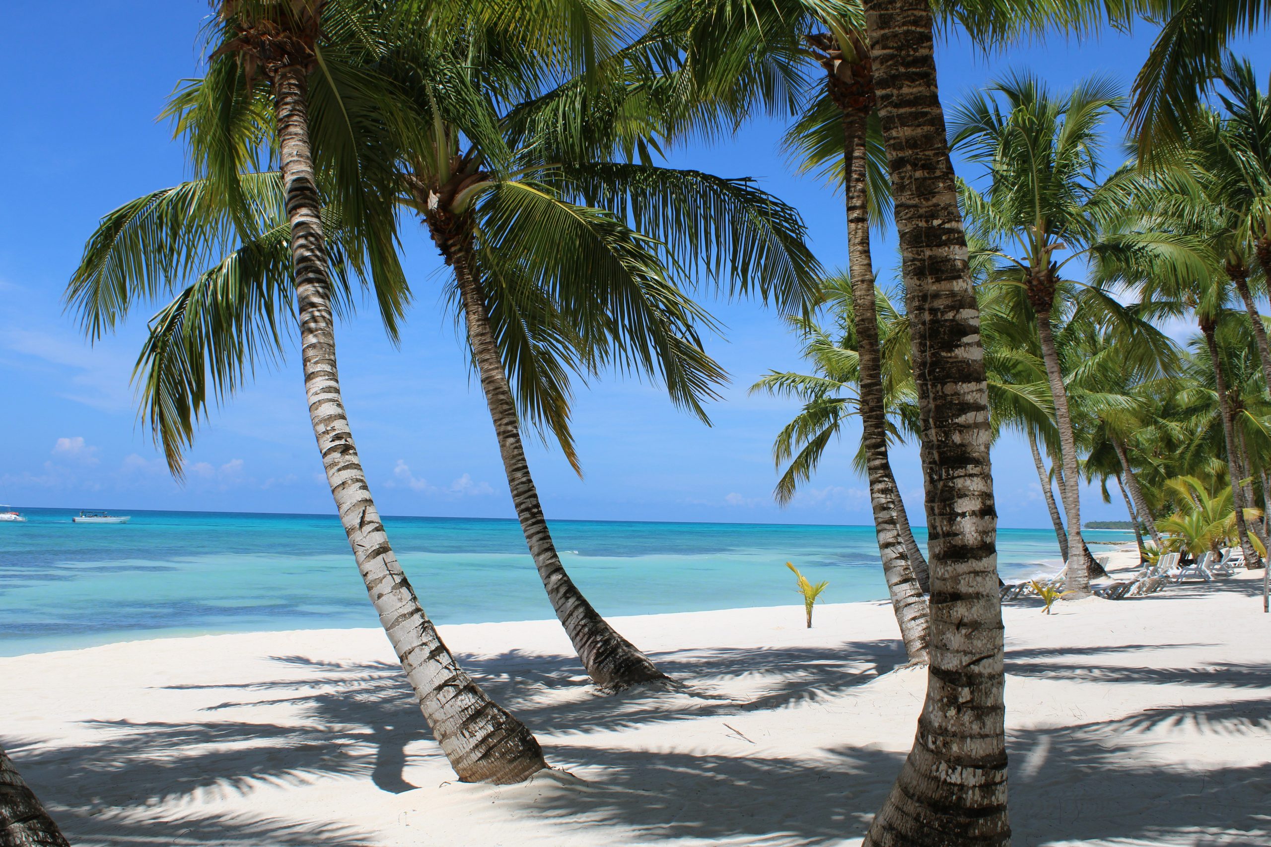 découvrez un paradis tropical : plages de sable fin, eaux turquoises et végétation luxuriante. réservez votre escapade au paradis dès maintenant !