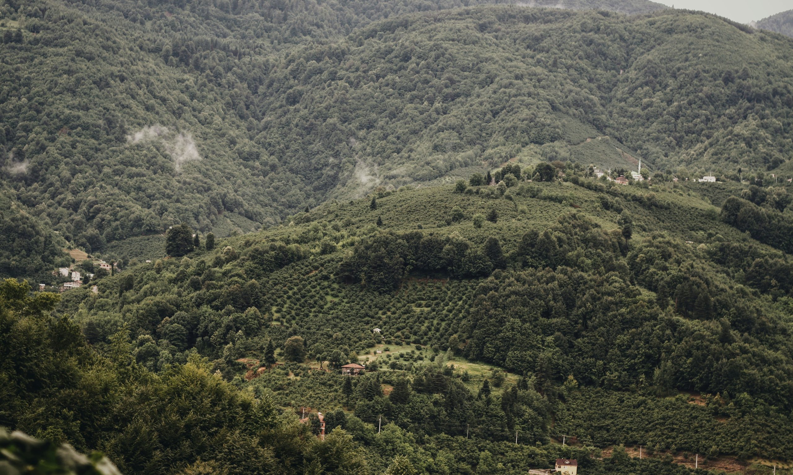 découvrez nos séjours à la campagne pour une escapade au grand air et au calme de la nature. réservez dès maintenant votre séjour à la campagne pour une parenthèse de bien-être et de détente.