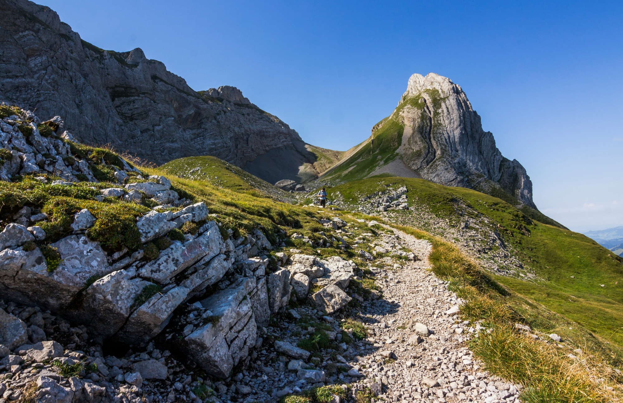 découvrez nos incroyables excursions et vivez des aventures inoubliables avec notre sélection de destinations fascinantes.