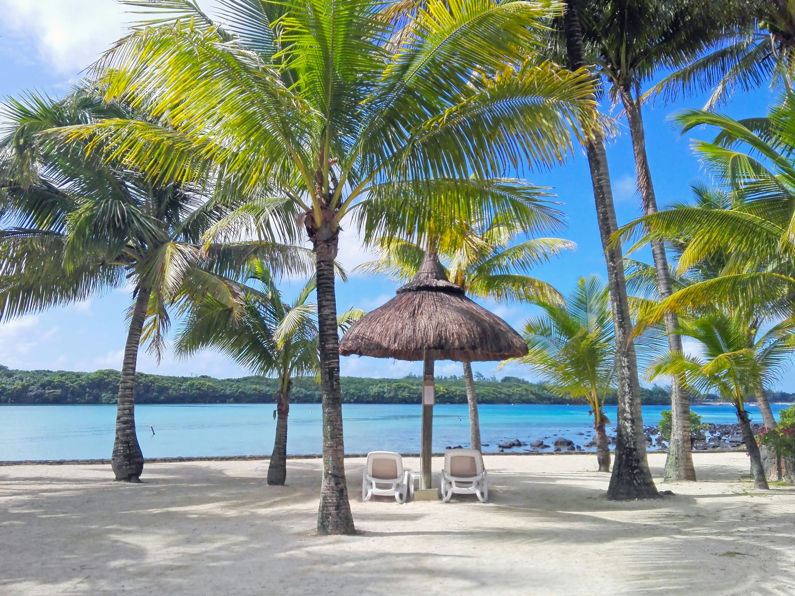 découvrez le paradis tropical, une destination de rêve avec ses plages de sable fin, ses eaux turquoise et sa végétation luxuriante. réservez votre escapade idyllique dès maintenant !