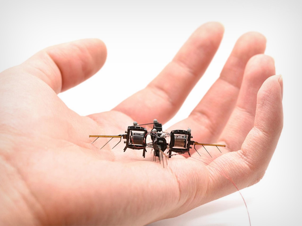 Drones volants de la taille d'insecte du MIT