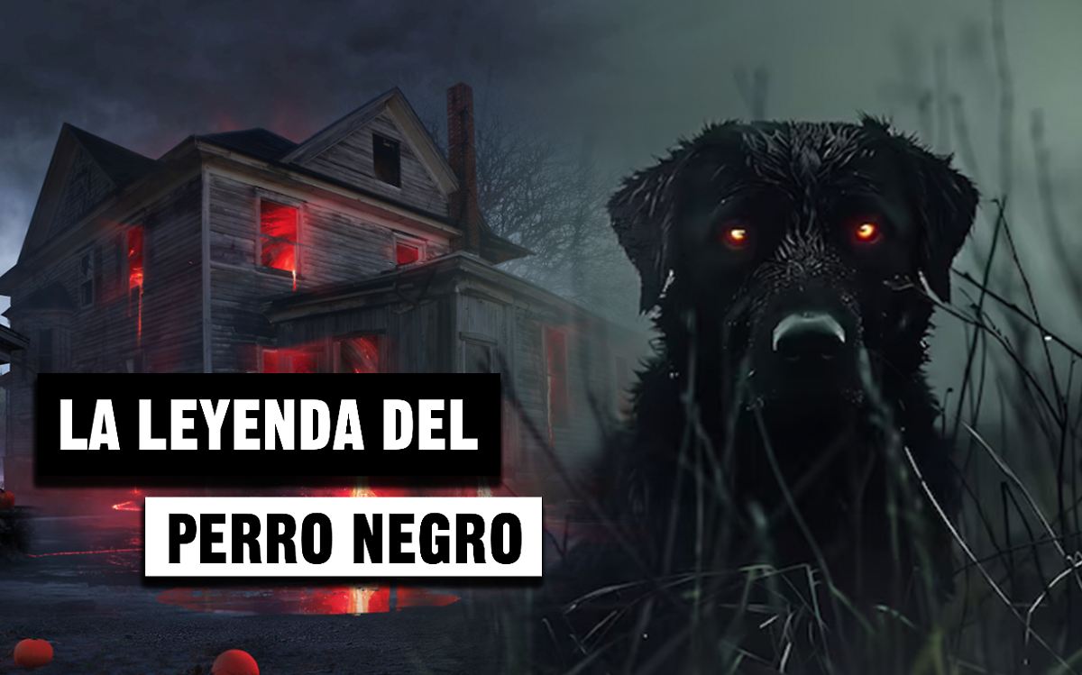 Mystérieuse légende des chiens noirs