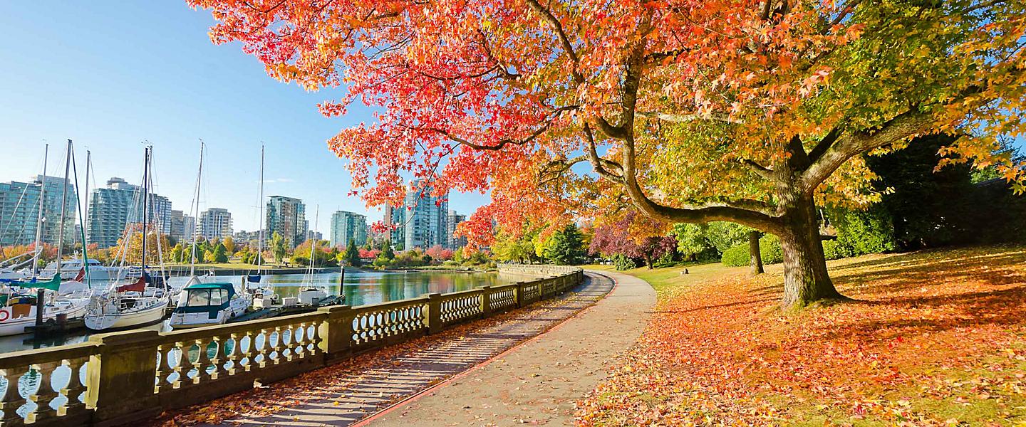 Croisières dans le port de Vancouver