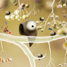 Découvrez l'univers enchanteur de Botanicula et Samorost 3 : plongez dans l'aventure de Residual et plus encore