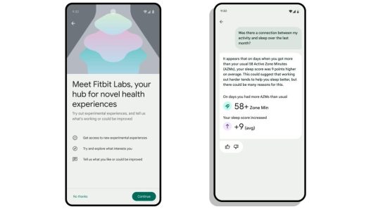 Fin du test 'insights explorer' par Fitbit labs : l'avenir de vos données santé en question